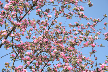 Similar image 1536084