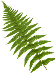 Similar image 1536085