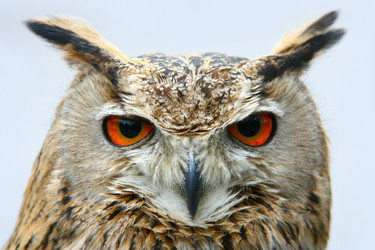 Similar image 1536086