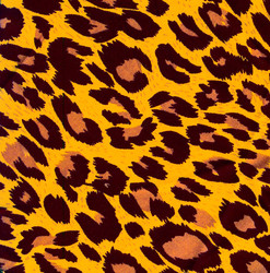 Similar image 1536090