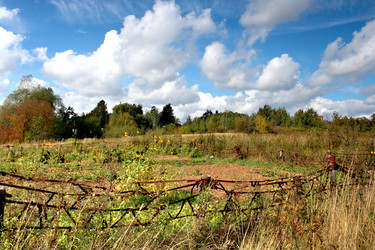 Similar image 1536094