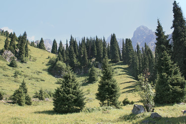 Similar image 1536120