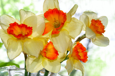 Similar image 1536122