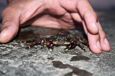 Similar image 1536143