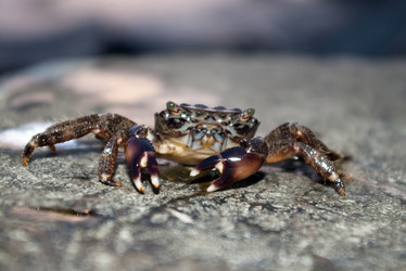 Similar image 1536144