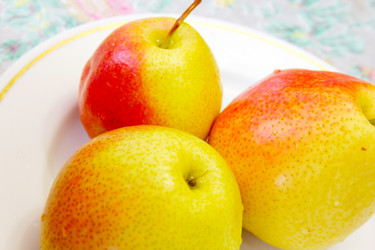 Similar image 1536234