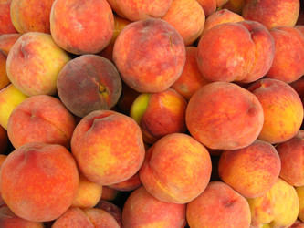 Similar image 1536265