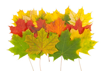 Similar image 1536270