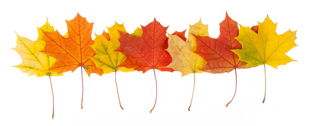 Similar image 1536271