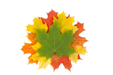 Similar image 1536272