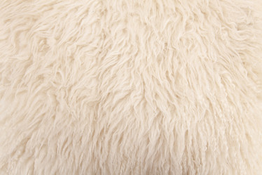 Similar image 1536279