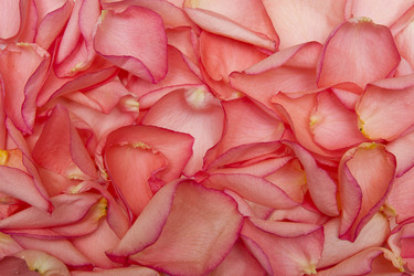 Similar image 1536280