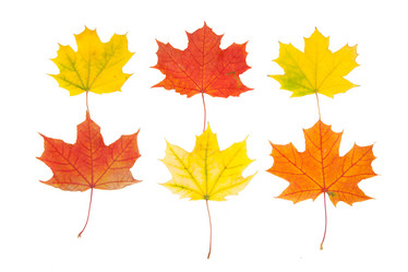 Similar image 1536282