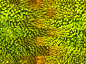 Similar image 1536292