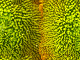 Similar image 1536294