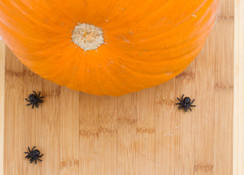 Similar image 1536310