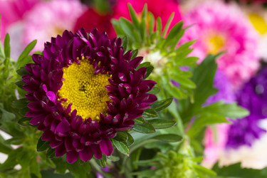 Similar image 1536316