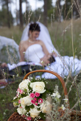 Similar image 1536319