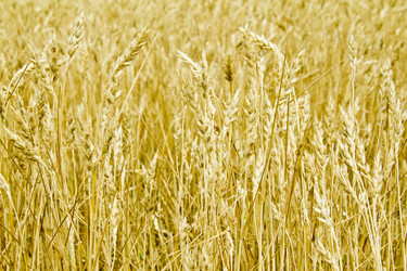 Similar image 1536324