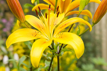 Similar image 1536326