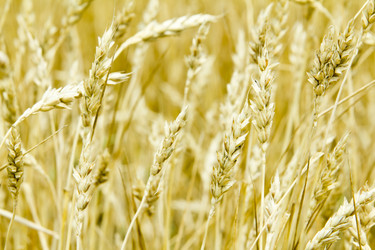 Similar image 1536331