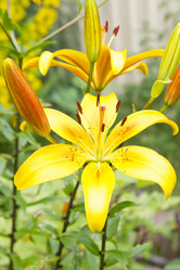 Similar image 1536362