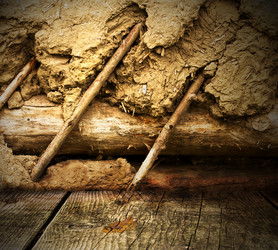 Similar image 1536420