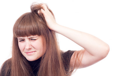 Similar image 1536427