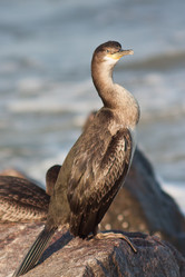 Similar image 1536434