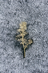 Similar image 1536459