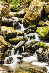 Similar image 1536472