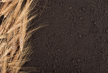 Similar image 1536574