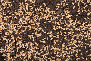 Similar image 1536579