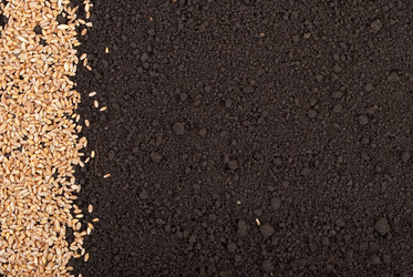 Similar image 1536585