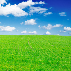 Similar image 1536600