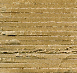 Similar image 1536605