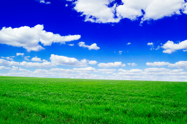 Similar image 1536608