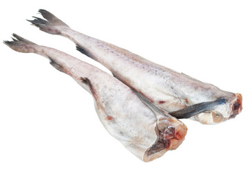 Similar image 1536618