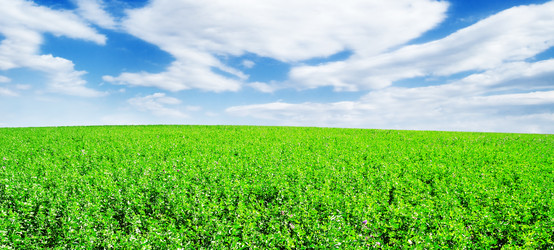 Similar image 1536656