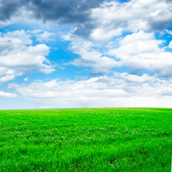 Similar image 1536662