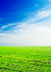 Similar image 1536665