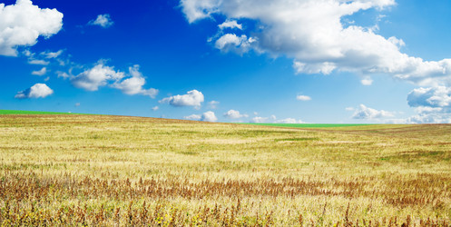 Similar image 1536668