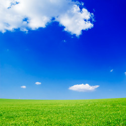 Similar image 1536673