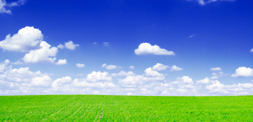 Similar image 1536674