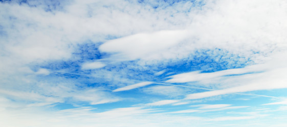 Similar image 1536679