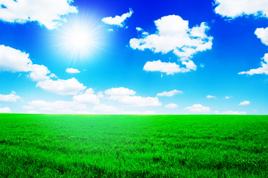 Similar image 1536680