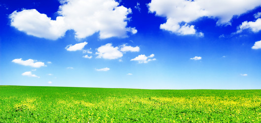 Similar image 1536681