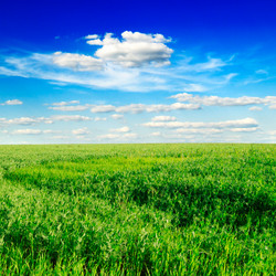 Similar image 1536685