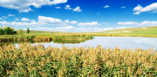 Similar image 1536690