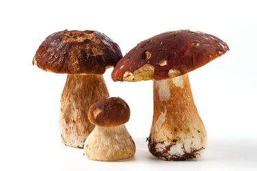 Similar image 1536706